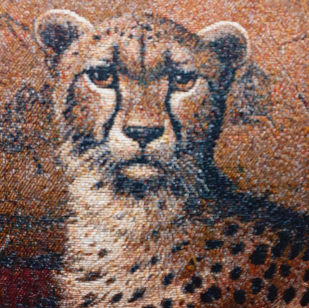 Cheetah Pillows